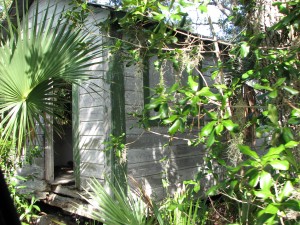 Old Everglades Camp